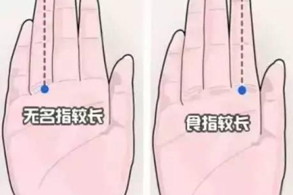 食指的长短与命运的微妙联系
