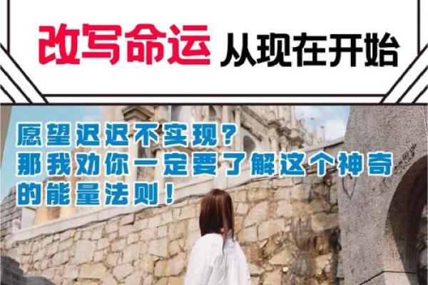 解密19981013：揭示你的命运与生活能量