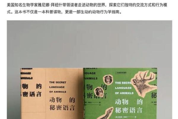 命有五两三，揭示命理背后的奥秘与智慧