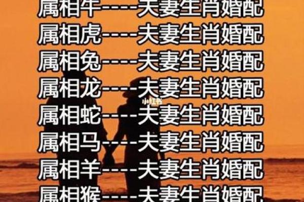 32岁是什么生肖与命运的深度解析 32岁是什么生肖与命运的深度解析