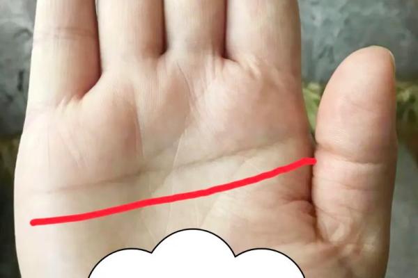 1977年巳时出生的命运解析：星辰与命理的交汇之美