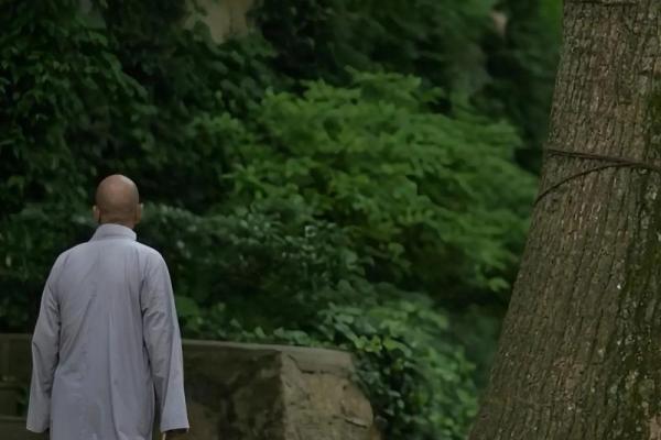 如何判断自己的命格，探索与命运的秘密之旅