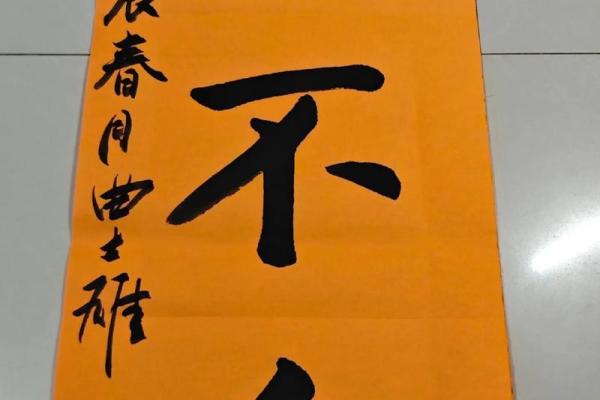 天行健，君子以自强不息——探寻“天一”与“命成”的哲理