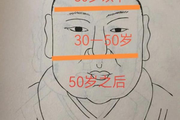己巳年出生的人命格分析：揭示人生的运势与未来
