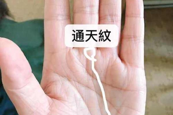 通灵命的秘密：哪些人最具灵感与直觉能力？