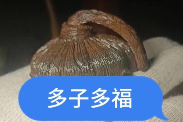 命理深浅：多子多福背后的隐秘玄机与生活啰唆