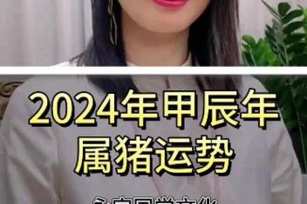 1995年属猪的命理解析与生活指导