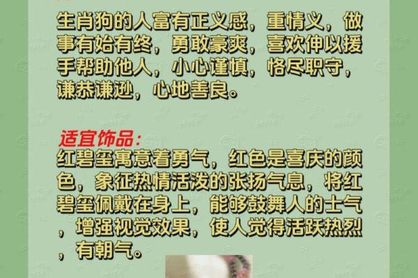 十二生肖男命解析：哪个生肖命最好？探寻属于你的命理密码！