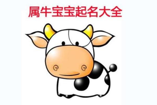 2016牛年属于什么命？揭秘牛年命理的奥秘与启示