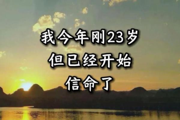 父命之中命：探寻命运与父爱的奇妙关系