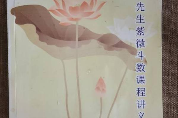 命厚的命理解析：揭示其背后的深意与影响