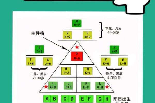 乙卯年出生的命运解析：揭开属于你的生命密码