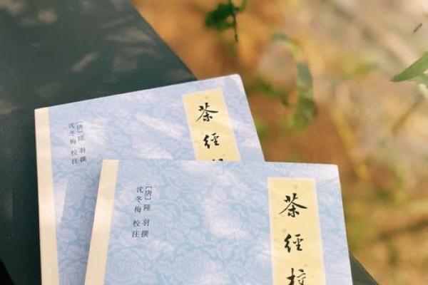 嗜茶如命：健康与习惯的双刃剑，茶饮的潜在危害分析