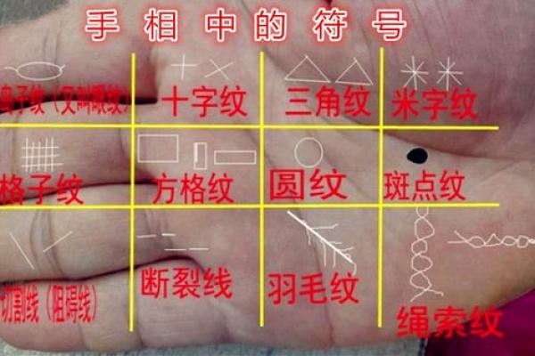 手指月牙：细腻生命线中的神秘符号与命运探寻