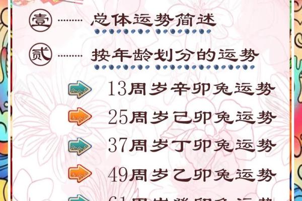 2011年:辛卯兔年,命运与运势的美丽交织 2011年:辛卯兔年,命运与运势的美丽交织