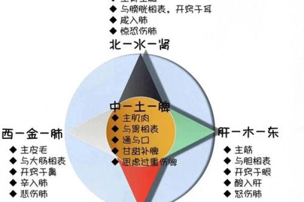 五行命理：探寻属于你的命与岁的奥秘