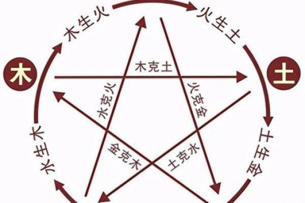 从五行看金命木命：如何理解命理背后的深意