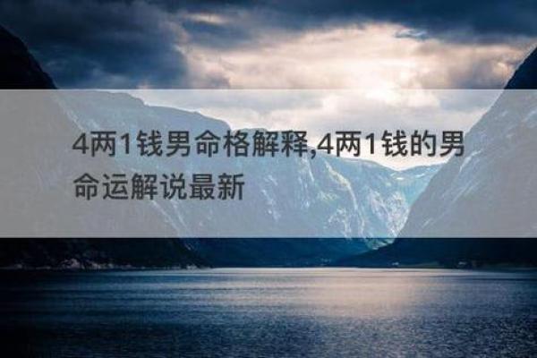 19790219出生的人生命运解析与运势指南 19790219出生的人生命运解析与运势指南