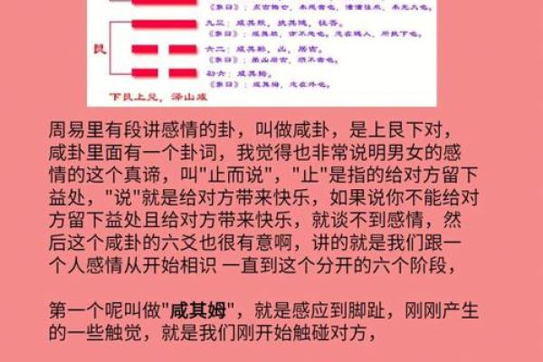 1988年1月31日出生的命运解析与人生指南