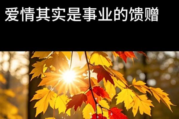 天河水命男与哪些命理最相配，助你事业爱情双丰收！