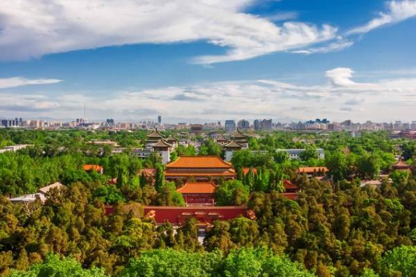 辛卯年与松柏木的命理关系探讨：克什么命与其内涵