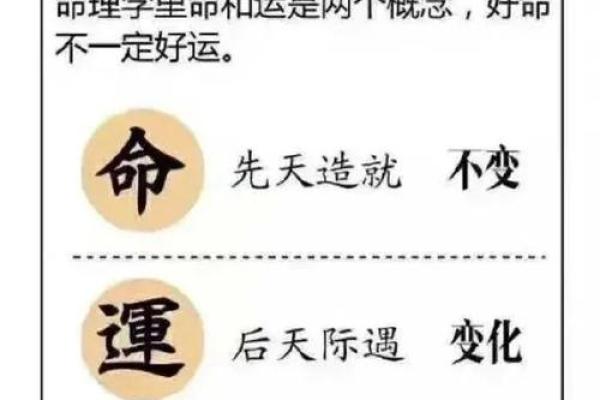 探索凶命论：命理中的神秘与魅力