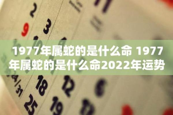 2022年：火命的崛起与运势解析，如何把握机遇迈向辉煌人生
