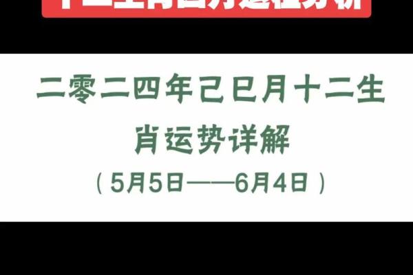 生肖猴缺什么命格？深入分析助你提升运势！