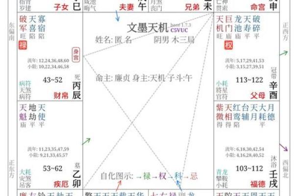 命盘命主探秘：如何解读你的命运钥匙与人生方向