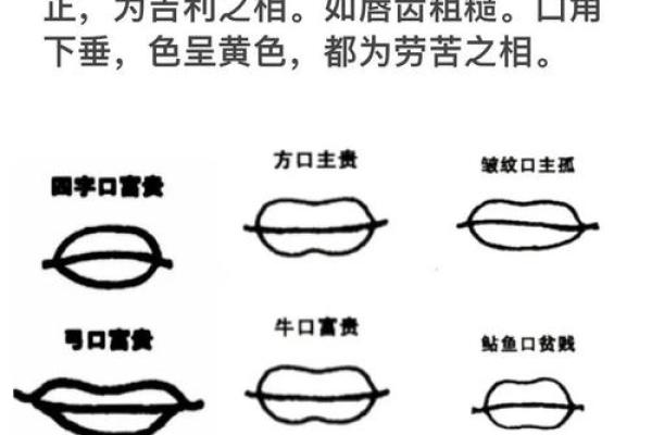 面相学揭秘：如何从面相判断一个女孩是否具有富翁命
