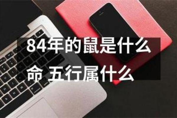 72年鼠命的性格与命运探析，解读鼠年人的人生智慧与成功之道