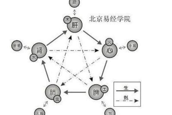木命之人适合的命格与搭配解析,助你运势顺畅如意! 木命之人适合的命格与搭配解析,助你运势顺畅如意!