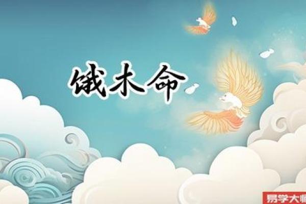 探秘：1981年木命之人，如何助力人生之路？