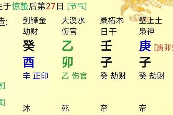 癸酉年是什么命：解读1998年出生人的性格与命运