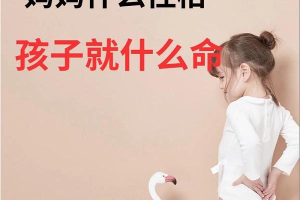 癸酉年是什么命：解读1998年出生人的性格与命运