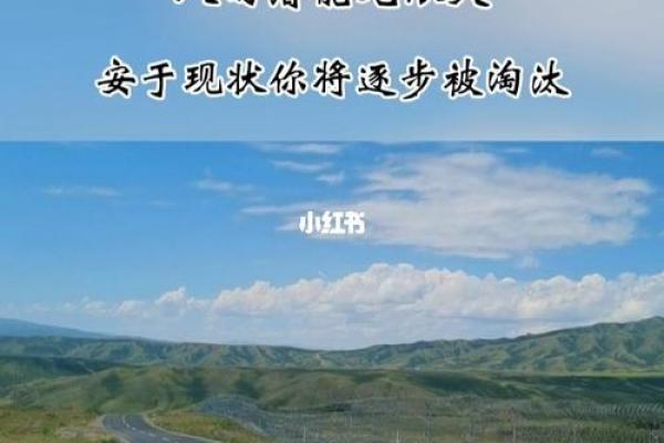19921125出生的人生命运与性格解析：解锁你的潜能与人生路径