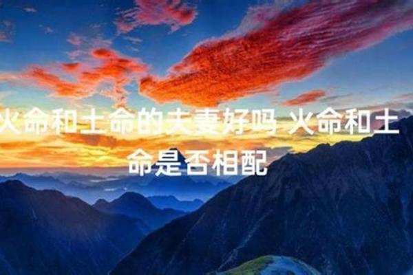 探寻木命与火命、土命的和谐共生之道