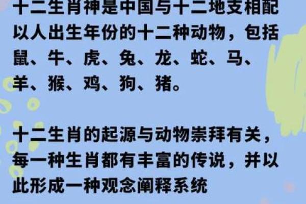 2021年猪年命运解析：揭开十二生肖中的财富与机遇之谜