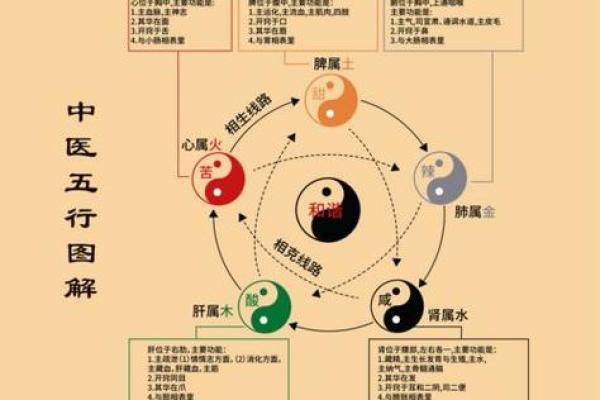 辰时出生的猪属水命吗?解密命运与五行的奥秘! 辰时出生的猪属水命吗?解密命运与五行的奥秘!