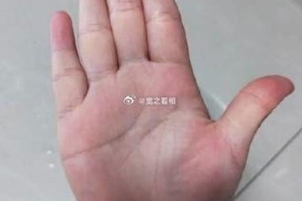 火命人最佳配对:风水命理中的理想伴侣选择 火命人最佳配对:风水命理中的理想伴侣选择