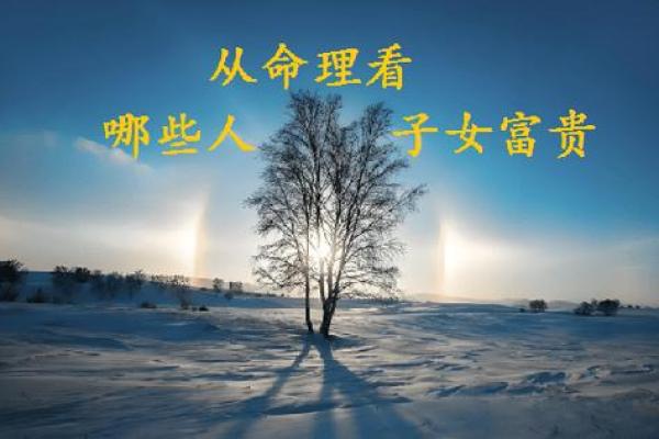 探秘命格：从算命看人生的方向与潜能