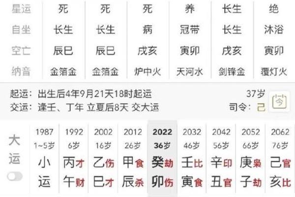 解密正财偏财：女命中的财运命格分析