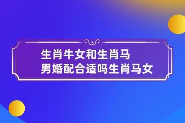 2017年马年命理解析：生肖马的性格、事业与爱情运势探秘