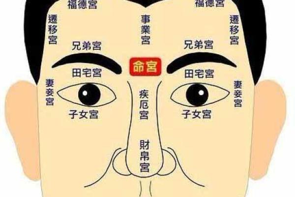 从面相看人，人生却有千变万化——解读面相与命运的关系