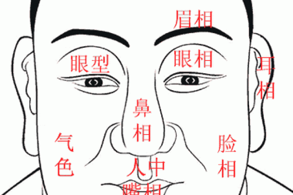 从面相看人,人生却有千变万化——解读面相与命运的关系 从面相看人,人生却有千变万化——解读面相与命运的关系