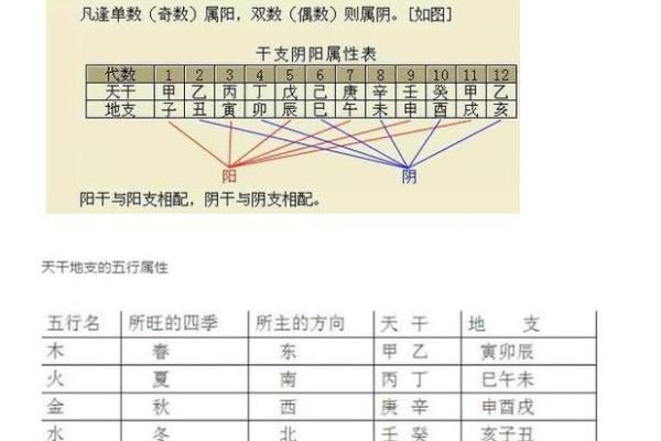 壬午日柱男命：探索天干地支的奥秘与人生际遇
