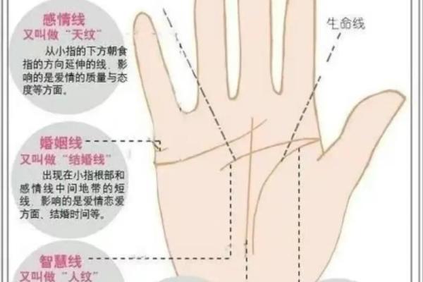 探秘手纹：解读不同命运的男人特征