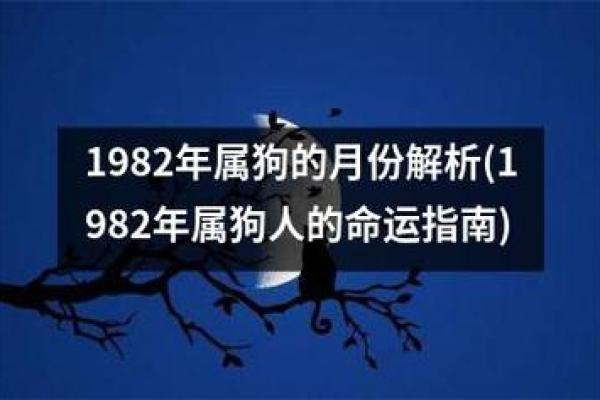 1982年出生的人命理分析：缺什么与适合的职业选择
