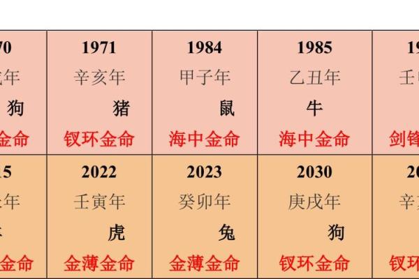 女金命最佳婚配：寻找灵魂伴侣的奥秘与策略