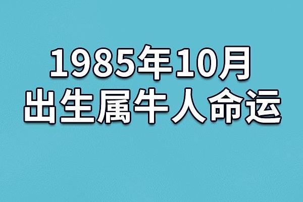 19984年出生的人命运解析与人生智慧